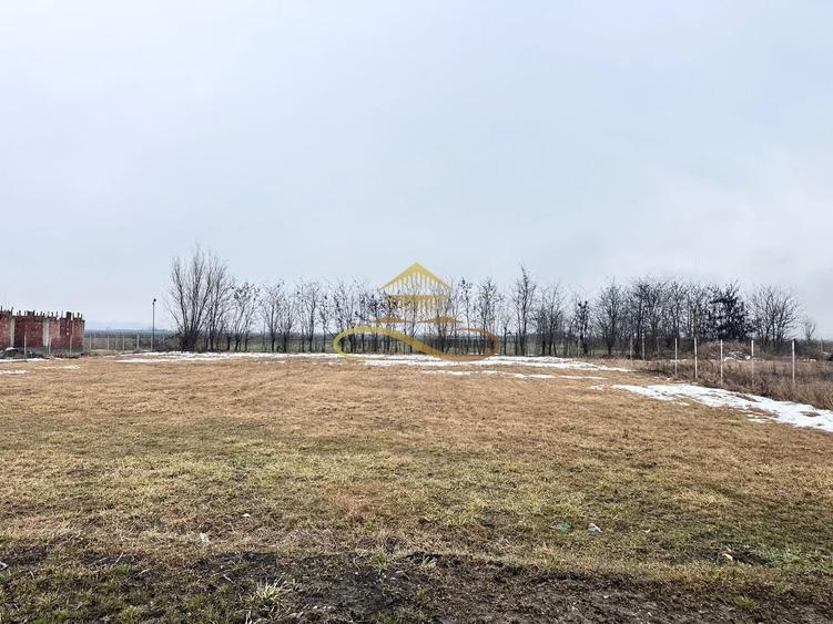 Teren de vanzare Siretu Saucesti Bacau - 3