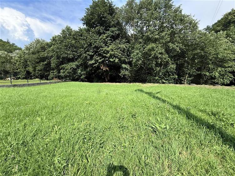 Comisan0%Teren intravilan Somesu Rece Lunca - 3