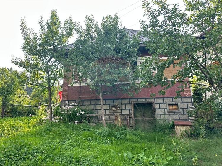 De vanzare GOSPODARIE in BUDESTI/ Maramures - 2