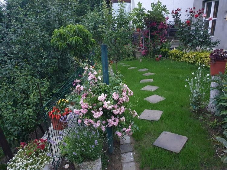 Casa cu gradina #pret negociabil # singur in curte - 1