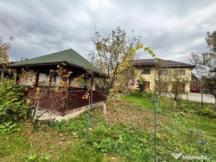 CASA DE VIS SAU AFACERE DE SUCCES BAIA SPRIE - 10