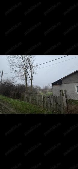 Teren vanzare + constructie 2499 mp electricitate+apa - 5