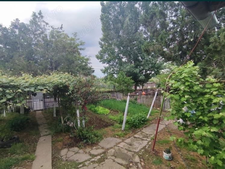 Casa Suseni - 4