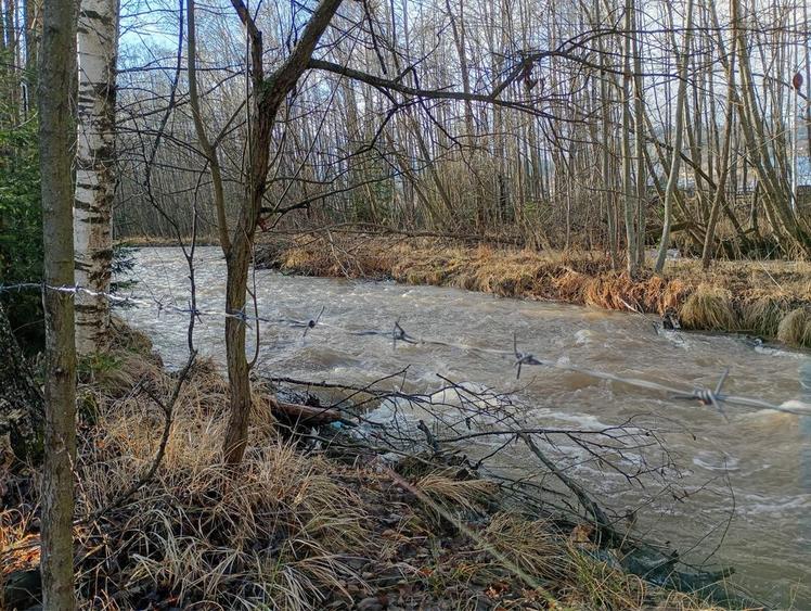 Teren in Neagra Sarului - 2