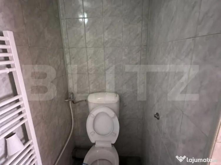 Spatiu de birouri, de inchiriat, 19 mp, zona centrala - 2