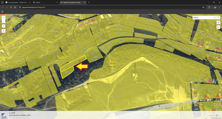 Vand/schimb 4000mp intravilan Feleacu cadastru+CU; super panorama Cluj - 5