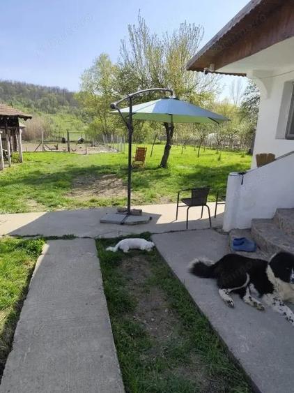 Casa renovata complet, 1800 mp teren, zona lini?tita in Corni?a - 2