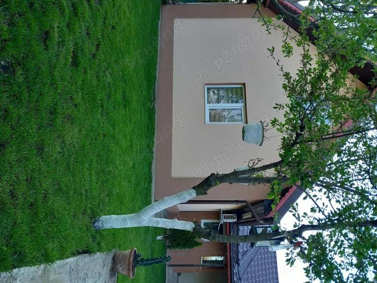 Casa in Plumbuita, tamadau mare, Calara?i - 8