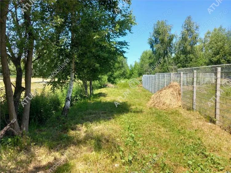 Teren intravilan 500 mp in Porumbacu de Sus, Sibiu - 6