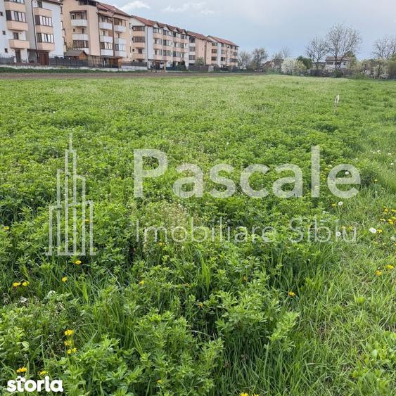 INVESTI?IE SIGURA IN GU?TERI?A TEREN CU POTEN?IAL RIDICAT! - 3