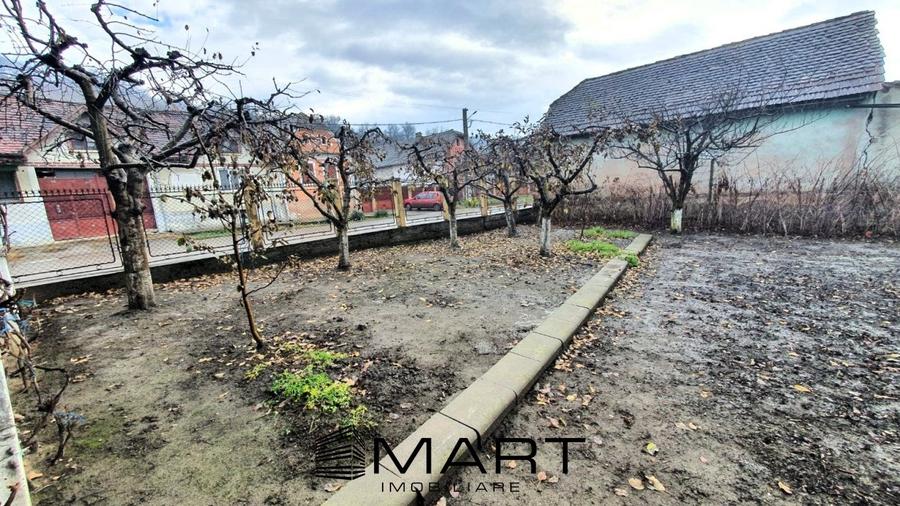 Cladire mixta 250 mp teren 738 in Smig - 5