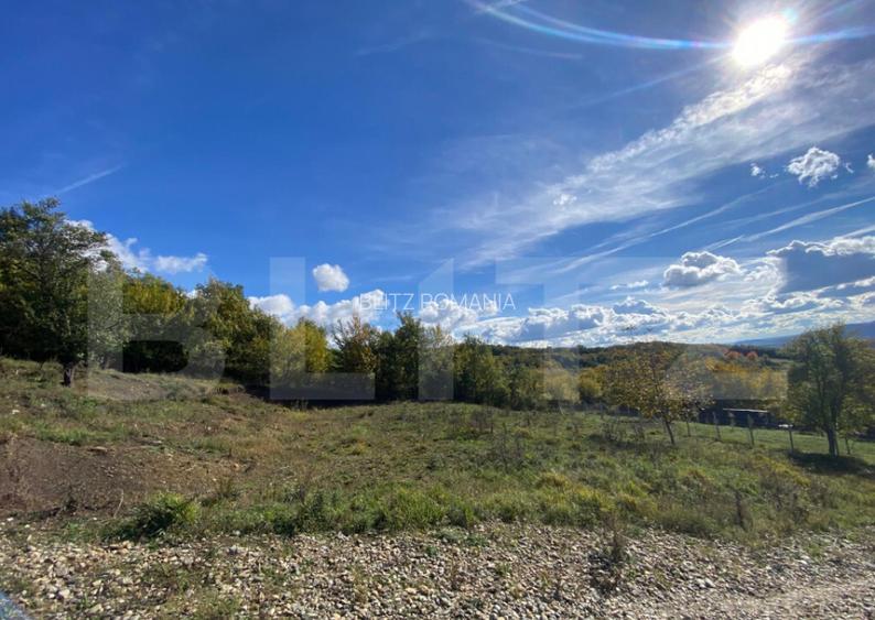 Teren 10 ari, Valea Budacului priveli?te superba, zon? Teren 10 ari, Valea Budacului priveli?te superba, zon?