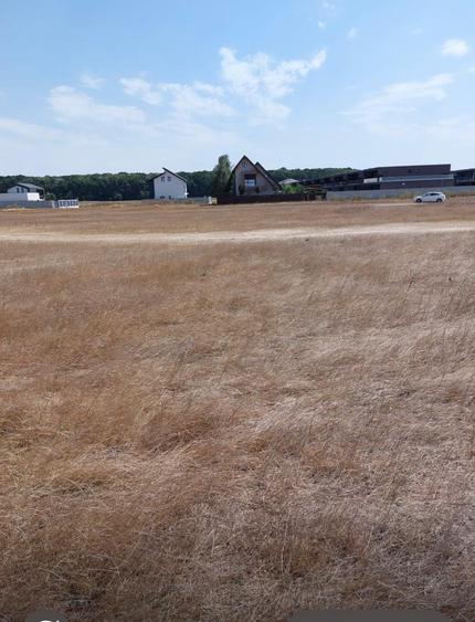 Matei Millo Serenety  Vanzare  teren  1000mp (140eur/mp) - 1