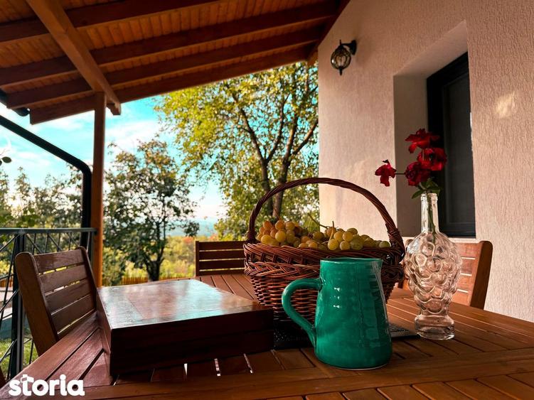 Vanzare casa cu teren intravilan ?i panorama, Valea Calugareasca - 10