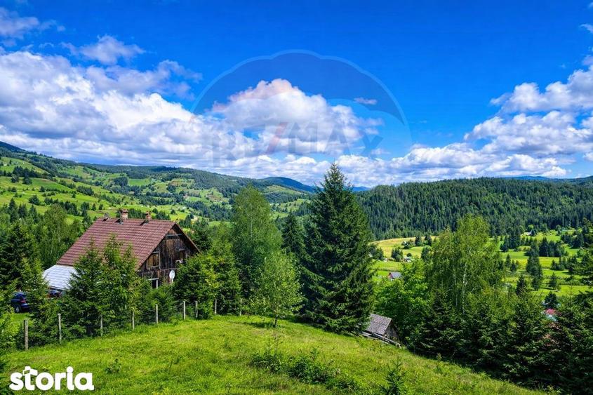 Oaza de lini?te in inima Apusenilor teren 6.500 mp Arie?eni - 4