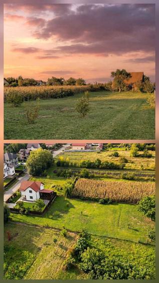 Gradina din Cetate un colt de natura si istorie, doar al Tau - 3