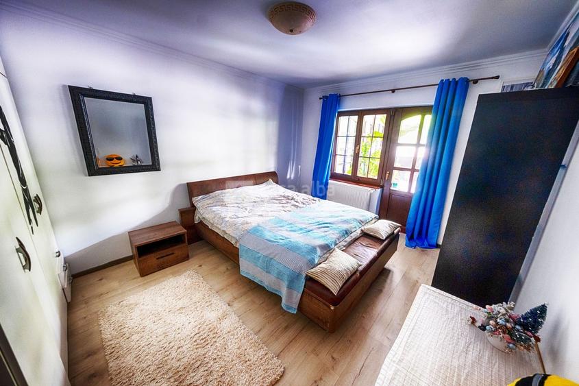 Proprietate unica, independenta energetic, zona Bucium - 22