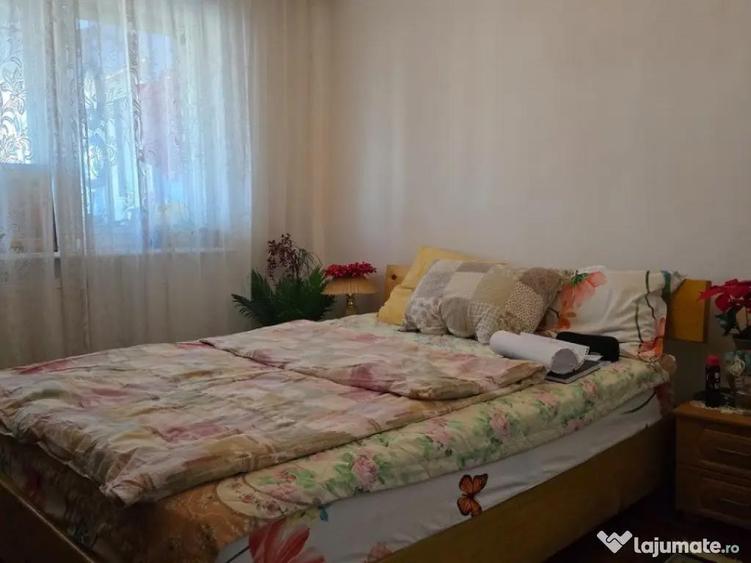 Apartament 3 camere in Deva, zona Minerului - 10