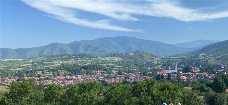 Teren de vanzare in Rasinari posibilitate de racordare la curentul electric - 1