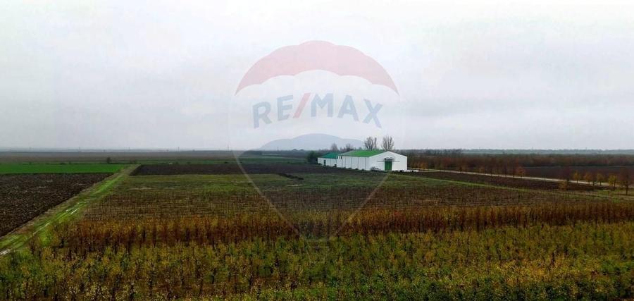 Ferma agro-industriala - 43 ha Adunatii Copaceni - 9