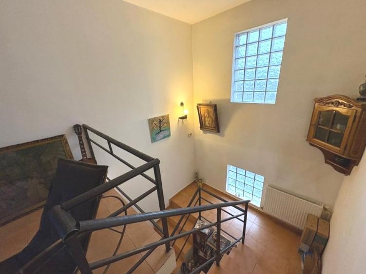 Casa individuală, Oraș Pantelimon, 2008, zona centrală - 8