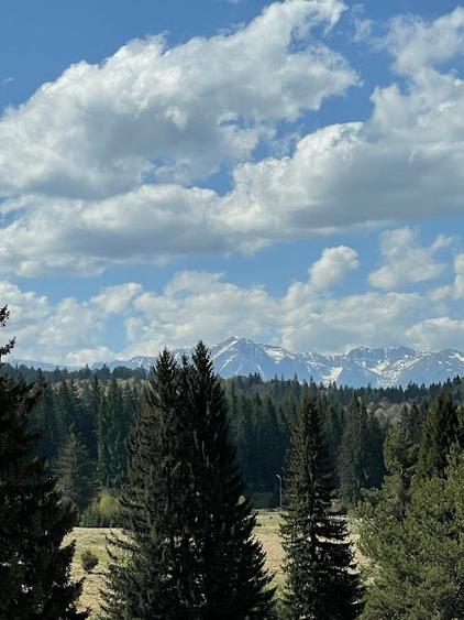 Apartament Premium | Grand Chalet | Poiana Brasov - 14