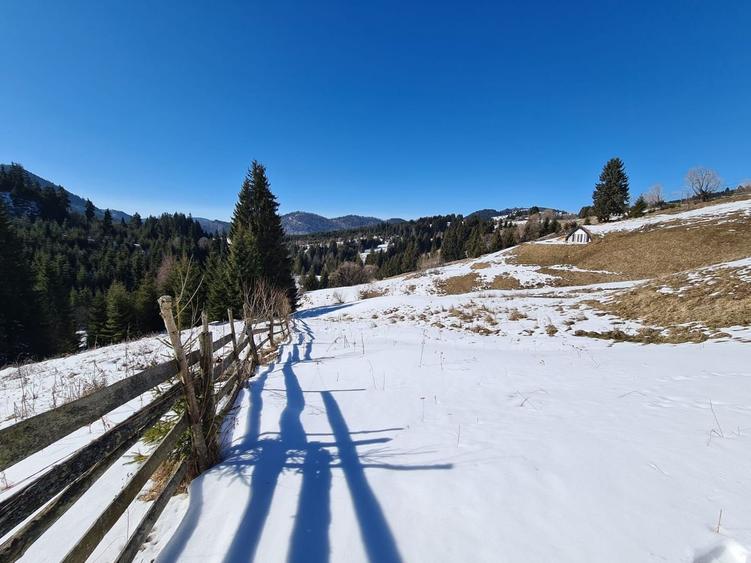 Teren situat langa padure de Vanzare - 5