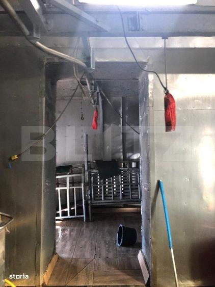 De vanzare Ferma & Abator - 10