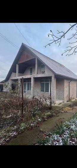 Tomesti - Osoi, vila cu spatiu comercial la parter , 2400mp teren cu iaz si pomi - 2