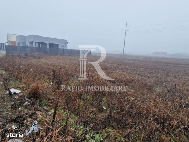 Teren intravilan | Santandrei | Bihor - 1