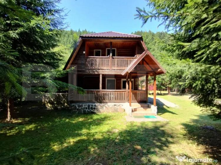 Cabana 4 camere Lunca Bradului - 15
