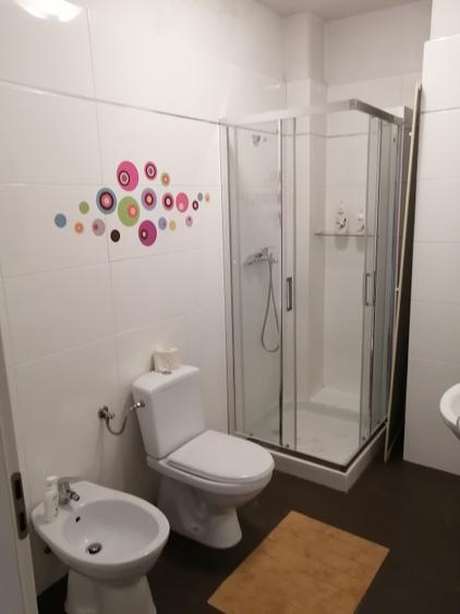 De închiriat.apartamnet de lux în zona centrală, parcare în curte , pentru cuplu - 7