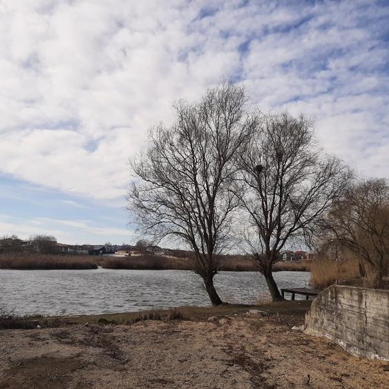 Teren spectaculos cu deschidere directă la lac – Corbeanca - 8