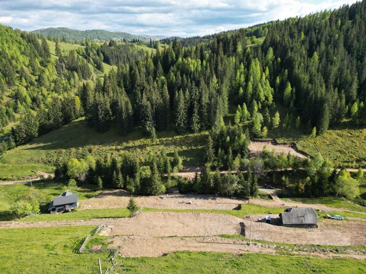 Teren de vanzare, Muntele Bocului Baisoara ,teren1000 mp - 16