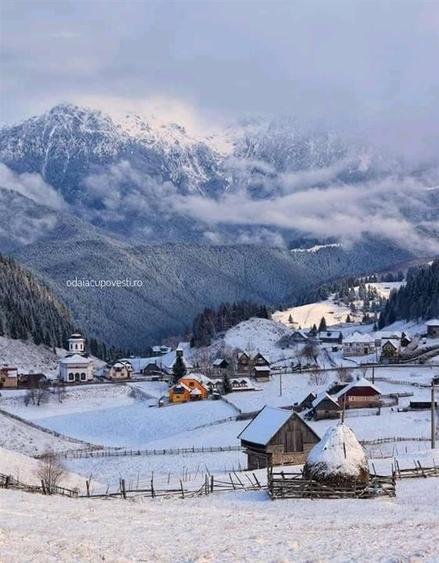 Teren Intravilan Fundata 1421Mp - 1