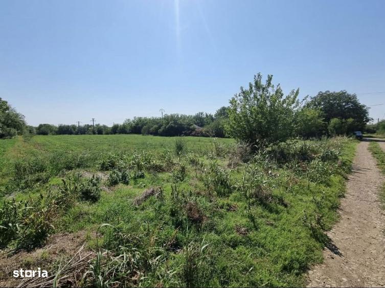 Teren intravilan 40km de Bucure?ti - 4