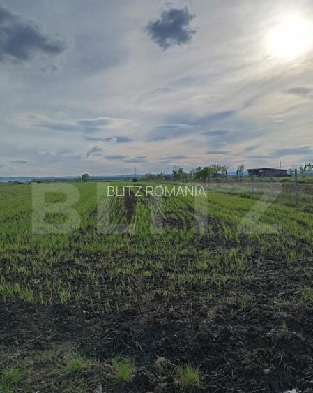Teren intravilan cu 2 drumurie de acces.