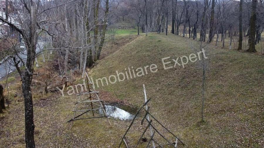 Teren de vanzare in comuna Arefu, jude? Arge?. - 9