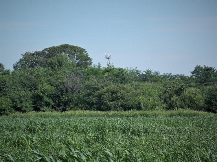 LAZU - Teren intravilan 1500 mp, cu deschidere la DN39! - 7