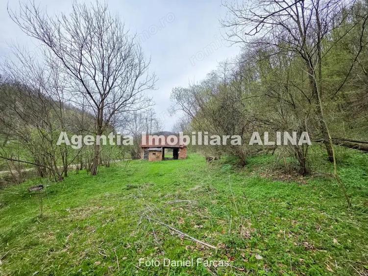 Teren intravilan 1.700 mp + 6.600 mp Padure de foioase + 1.200 mp Padure de foioase, Sat Nojag. - 4