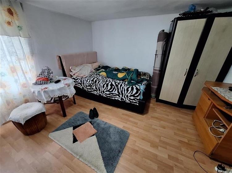 Proprietate ideala pentru familie extinsa sau investitie  Serbanesti, Bacau - 8