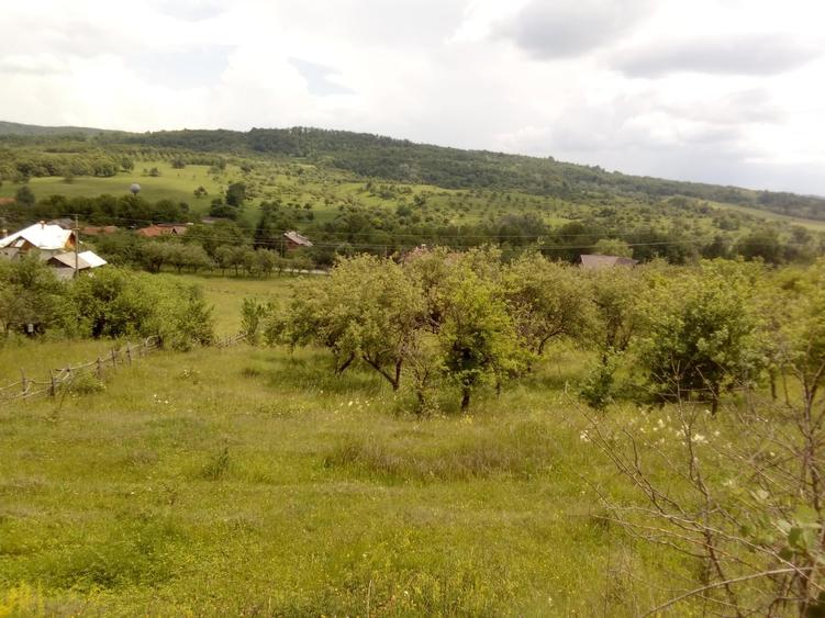 Mihaesti, Draghici - 4