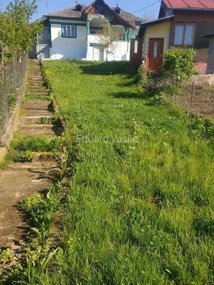 Vand casa zona submontana Vand casa zona submontana