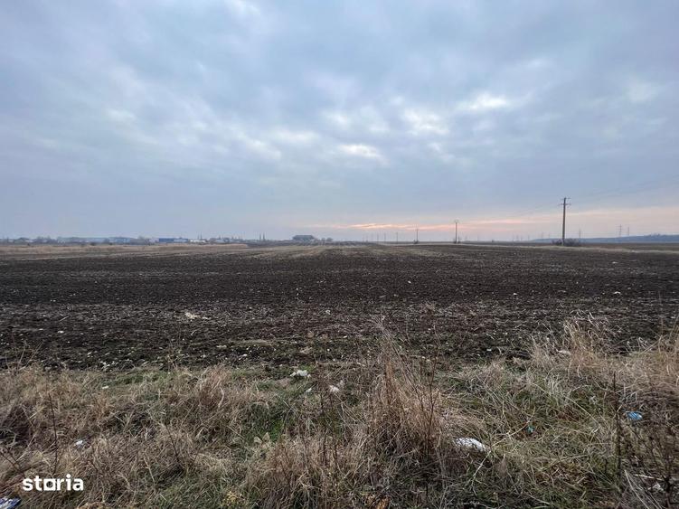 LOTURI DE CASA / Teren CHITILA / 500 Mp - 5