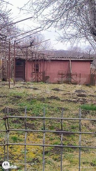 Oportunitate investitionala Casa cu teren extins in Comuna Geaca - 16