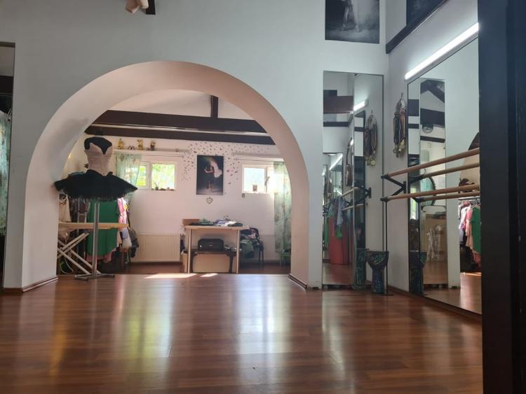 Vila Multifunctionala investitie - zona Basarabia / Arena Nationala - 11