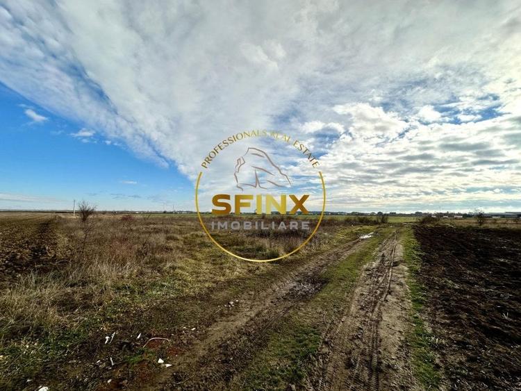 LOT de casa Tartasesti Primarie, teren cu potential - 6