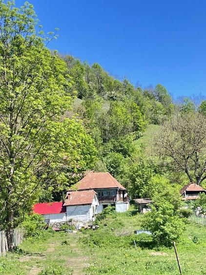 Vand casa Ocolis, teren 2800 mp jud. Alba. - 4