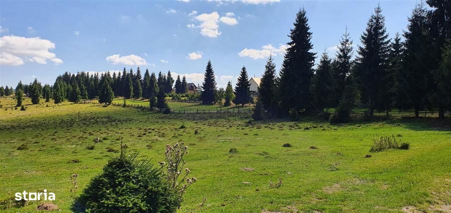 Oportunitare | Teren 1350 mp cu PUZ | Belis - 5