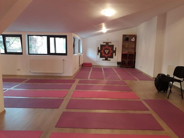 Vila istorica renovata Universitate - Pta Rosseti - 4